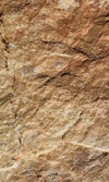 Dimex Marble Fotobehang 150x250cm 2 banen | Yourdecoration.be