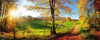 Dimex Meadow Fotobehang 375x150cm 5 banen | Yourdecoration.be