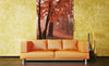 Dimex Misty Forest Fotobehang 150x250cm 2 banen Sfeer | Yourdecoration.be