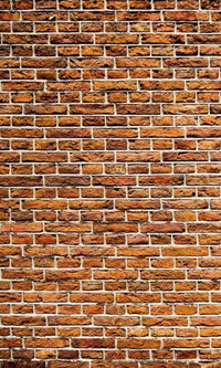Dimex Old Brick Fotobehang 150x250cm 2 banen | Yourdecoration.be