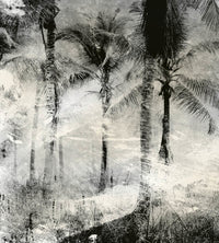 Dimex Palm Trees Abstract Fotobehang 225x250cm 3 banen | Yourdecoration.be