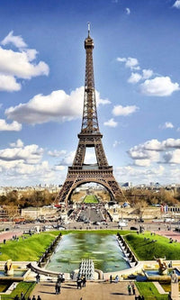 Dimex Paris Fotobehang 150x250cm 2 banen | Yourdecoration.be