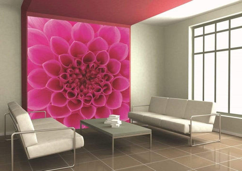 Dimex Pink Dahlia Fotobehang 225x250cm 3 banen Sfeer | Yourdecoration.be