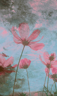 Dimex Pink Flower Abstract Fotobehang 150x250cm 2 banen | Yourdecoration.be