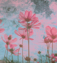 Dimex Pink Flower Abstract Fotobehang 225x250cm 3 banen | Yourdecoration.be