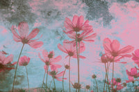 Dimex Pink Flower Abstract Fotobehang 375x250cm 5 banen | Yourdecoration.be