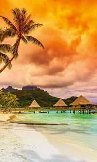 Dimex Polynesia Fotobehang 150x250cm 2 banen | Yourdecoration.be