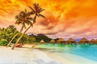 Dimex Polynesia Fotobehang 375x250cm 5 banen | Yourdecoration.be
