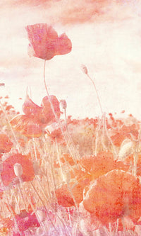 Dimex Poppies Abstract Fotobehang 150x250cm 2 banen | Yourdecoration.be