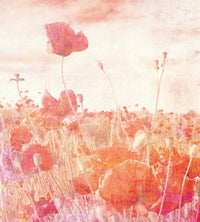 Dimex Poppies Abstract Fotobehang 225x250cm 3 banen | Yourdecoration.be