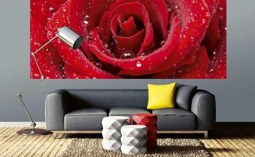 Dimex Red Rose Fotobehang 375x150cm 5 banen Sfeer | Yourdecoration.be