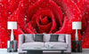 Dimex Red Rose Fotobehang 375x250cm 5 banen Sfeer | Yourdecoration.be