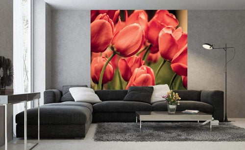 Dimex Red Tulips Fotobehang 225x250cm 3 banen Sfeer | Yourdecoration.be