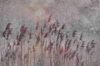 Dimex Reed Abstract Fotobehang 375x250cm 5 banen | Yourdecoration.be