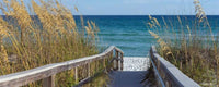 Dimex Sandy Boardwalk Fotobehang 375x150cm 5 banen | Yourdecoration.be