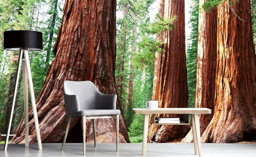 Dimex Sequoia Fotobehang 375x250cm 5 banen Sfeer | Yourdecoration.be