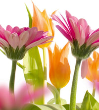 Dimex Spring Flowers Fotobehang 225x250cm 3 banen | Yourdecoration.be