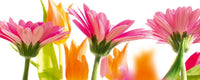 Dimex Spring Flowers Fotobehang 375x150cm 5 banen | Yourdecoration.be