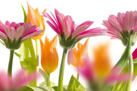 Dimex Spring Flowers Fotobehang 375x250cm 5 banen | Yourdecoration.be