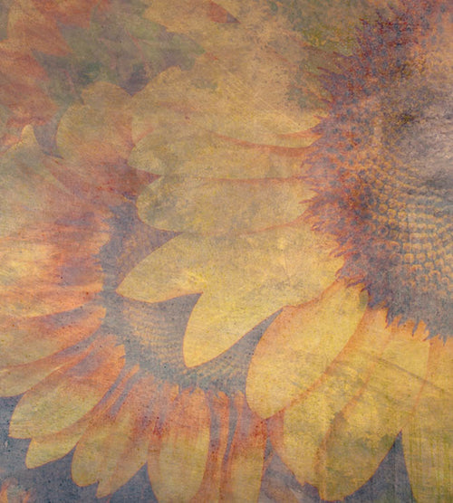 Dimex Sunflower Abstract Fotobehang 225x250cm 3 banen | Yourdecoration.be