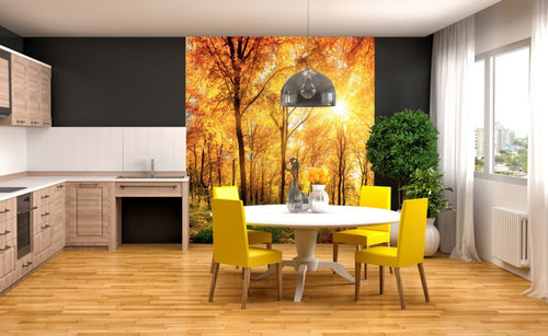 Dimex Sunny Forest Fotobehang 225x250cm 3 banen Sfeer | Yourdecoration.be