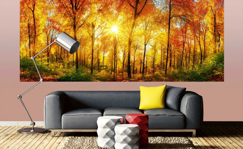 Dimex Sunny Forest Fotobehang 375x150cm 5 banen Sfeer | Yourdecoration.be