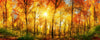 Dimex Sunny Forest Fotobehang 375x150cm 5 banen | Yourdecoration.be