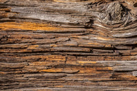 Dimex Tree Bark Fotobehang 375x250cm 5 banen | Yourdecoration.be