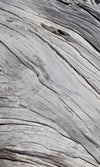 Dimex Tree Texture Fotobehang 150x250cm 2 banen | Yourdecoration.be