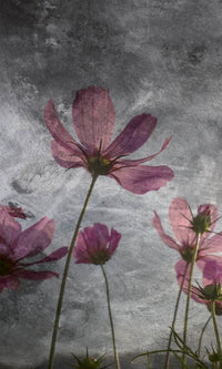 Dimex Violet Flower Abstract Fotobehang 150x250cm 2 banen | Yourdecoration.be