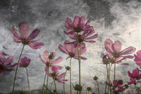 Dimex Violet Flower Abstract Fotobehang 375x250cm 5 banen | Yourdecoration.be