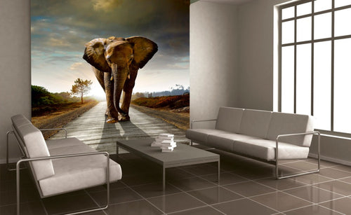 Dimex Walking Elephant Fotobehang 225x250cm 3 banen Sfeer | Yourdecoration.be