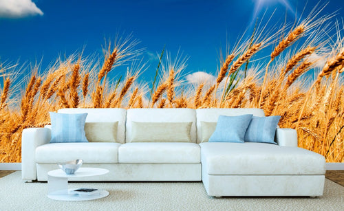 Dimex Wheat Field Fotobehang 375x250cm 5 banen Sfeer | Yourdecoration.be