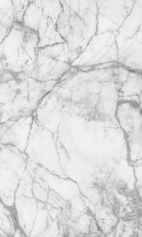 Dimex White Marble Fotobehang 150x250cm 2 banen | Yourdecoration.be