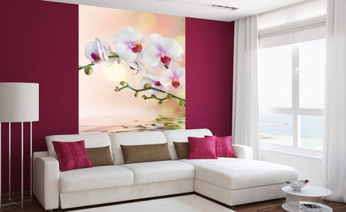 Dimex White Orchid Fotobehang 150x250cm 2 banen Sfeer | Yourdecoration.be