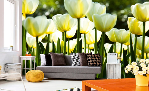 Dimex White Tulips Fotobehang 375x250cm 5 banen Sfeer | Yourdecoration.be