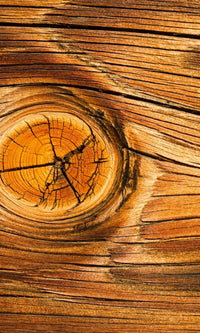Dimex Wood knot Fotobehang 150x250cm 2 banen | Yourdecoration.be