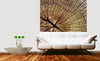 Dimex Wood Fotobehang 225x250cm 3 banen Sfeer | Yourdecoration.be