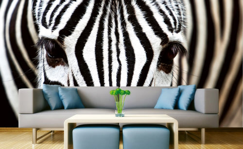 Dimex Zebra Fotobehang 375x250cm 5 banen Sfeer | Yourdecoration.be