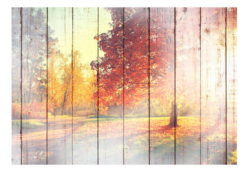 Fotobehang - Autumn Sun - Vliesbehang