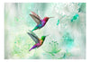 Artgeist Colourful Hummingbirds Green Vlies Fotobehang | Yourdecoration.be