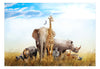 Fotobehang - Fauna of Africa - Vliesbehang