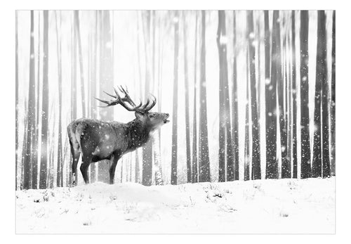 Fotobehang - Deer in the Snow Black and White - Vliesbehang