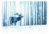Fotobehang - Deer in the Snow Blue - Vliesbehang