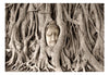 Fotobehang - Buddhas Tree - Vliesbehang