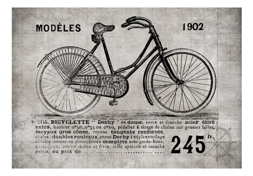 Fotobehang - Bicycle Vintage - Vliesbehang