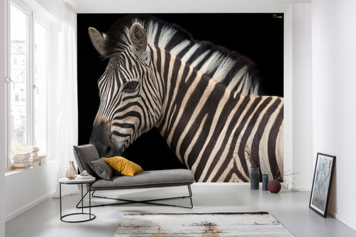 Komar Damara Zebra Vlies Fotobehang 400X280Cm 6 Delen Sfeer | Yourdecoration.be