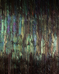 Komar Dark Wings Vlies Fotobehang 200X250 cm 4 Banen | Yourdeocration.be