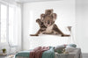Komar Koala Vlies Fotobehang 300X280Cm 6 Delen Sfeer | Yourdecoration.be
