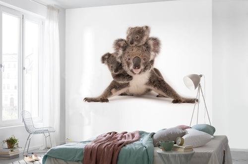 Komar Koala Vlies Fotobehang 300X280Cm 6 Delen Sfeer | Yourdecoration.be